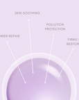 Anti Pollution Nano Drops (EXP 08/25)