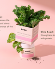 Superfood Saviour Crème (EXP 03/2027) -product only, no outer box